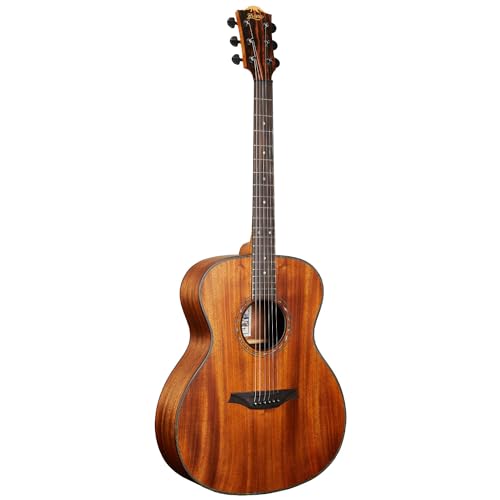 Bromo Guitars BAT2M �A�R�[�X�e�B�b�N�M�^�[