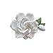 Quintathletic Car Air Vent Clip Decorations - Vehicle AC Outlet Accessories for Interior Styling Gift for Sister's mom teacher