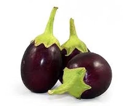 Pusa Kranti Brinjal Seed 90 SEED