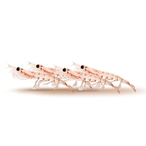 Image of Sakura Gold Super Premium Fish Food with Vitamin Complexes + Krill & Astaxanthin in Small 2mm Pellet 250gm