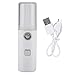 Umidificatore facciale - Umidificatore facciale portatile ricaricabile USB Mister Sprayer