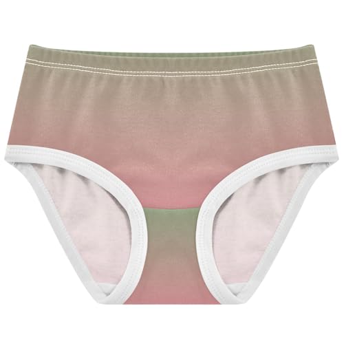 Joisal Funny Toddlers Underwear Floral 2t Cotton Panties Little Girl Dinosaur Green Salmon Pink Gradient Kids Undies Briefs