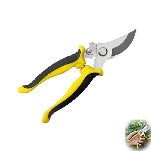 DREAMERS oT~ ΂ Ă΂ @\|nT~ XeX|ގ lԍHwfUC sȐn ~߃nh lԍHwɊÂfUC̉|pnT~ yʃ^CvŊ~߃Obvt sXeXn