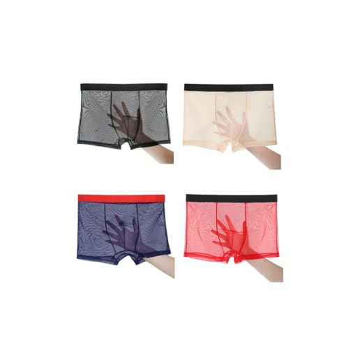 Men's Underwear Sexy See-through Mesh Breathable Boxer Briefs Men's Transparent Printed Trucks