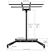 Horizontal Rolling Stand for EXESAS Red-Light Therapy Panels, Horizontal Installation for EXESAS Red Light Devices, (Stand Only, Panel Sold Separately) (Powered)