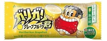 ガリガリ君　純銀製 赤城乳業 25th Anniversary 純銀製ガリガリ君 H33mm W13mm D2mm