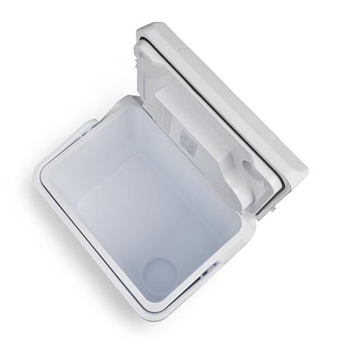 IGLOO IE24 AC/DC elektrische Kühlbox, 24 Liter, Mini-Kühlschrank 12/230 V für Auto, Boot und Freizeit, grau