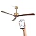 CREATE / WIND LARGE DC -XL / Deckenventilator mit Fernbedienung / 6 Gang- 40W / Gold Motor mit dunkleholz Flügel / Leise, 2 Höhen, Timer WIFI