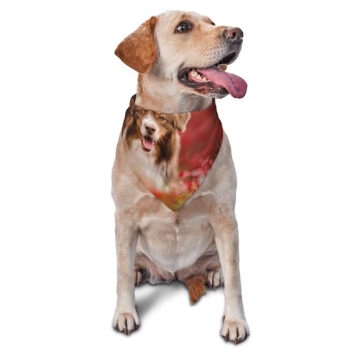 【Versatile】 Questa bandana per cani può essere utilizzata anche come sciarpa per feste di compleanno, sessioni di toelettatura, servizi fotografici, feste di trucco, regali per animali domestici e altro ancora.