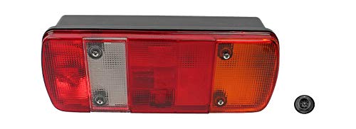DT Spare Parts 4.62820 Fanale posteriore Destra