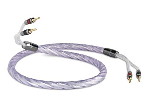 QED Genesis Silver Spiral ジャンパーケーブル 20cm 31xXUBEUBvL.jpg
