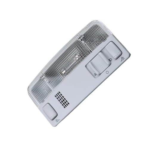 Lámpara gris de lectura de techo 1TD947105 con acabado original