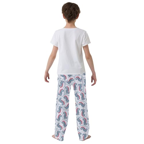 ZZXXB Dinosaur Skateboard Boys Long Pants Soft Trousers Elastic Waist Kids Lounge Bottoms with Pockets S-XL3