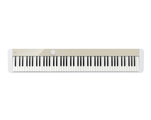 Casio Privia PX-S1100