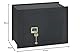 Domus DI/4 Einbau-Safe, 10 mm