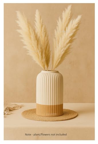 Image of SPHINX Ribbed Pipe Ceramic Vase, Flower Vase, Pampas Grass Vase, Vase for Money Plant Live Plants for Home, Office, or Gifts NO Flowers- (Two Tone, 6 inch)