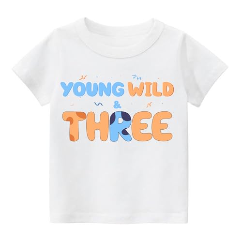 K-Acc 3rd Birthday Outfit - T-Shirt, Blue Ears, Tutu Dress, Satin Sash – Gifts for Girls Birthday Party2