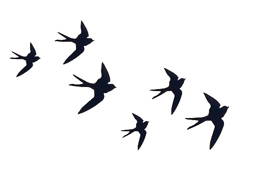 Hirondelles en métal pour habiller un mur vide set de 6 oiseaux noirs mat