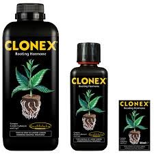 Clonex ® 50ml utilizzato da professionisti e dilettanti di tutto il mondo da " highstreethydro " semplicemente meravigliosoC