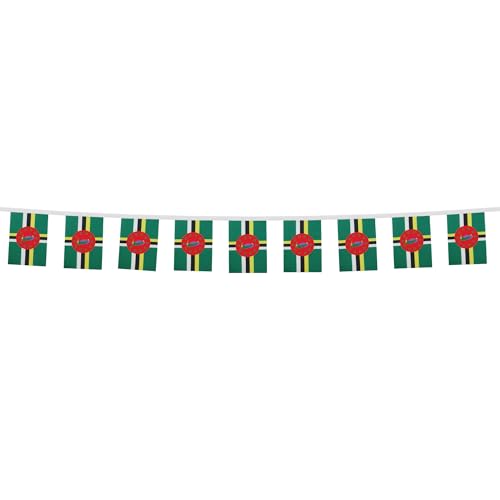 Image of AZ FLAG Dominica 6 meters BUNTING Flag 20 flags 9'' x 6'' - Dominican STRING flags 15 x 21 cm