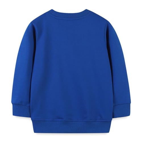 Boys Sweatshirts Long Sleeve Sweatshirts T-shirts Crew Neck Cotton Casual Sweatshirts Cartoon Tops for Boys-1622