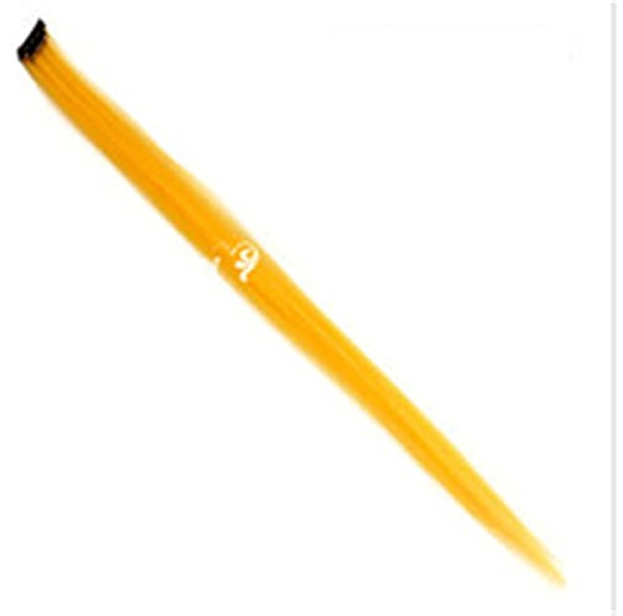 ウィッグ・エクステ win-s 襟足ウィッグ ウィッグ エクステ ロング カール グラデーション