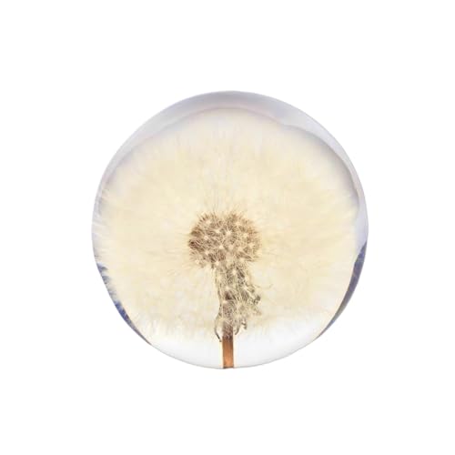 Nouvocrescent 00000 Real Dandelion Paperweight - Home Decor Crystal Ball Flower Globe 2.75In thumb #1