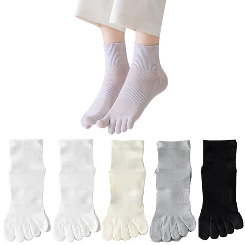 [snmf@xtd] 5{w\bNX fB[X  C ėp X|[c   ʋC z bV  wl ܖ{w w\bNX 5Zbg (JP, At@xbg, M, 5, Color-C)