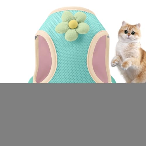 pn[lX ֕t - ˑf qL n[lX - ʋC ybgp q Xgbv U   r[` Lv AEghA s oRp