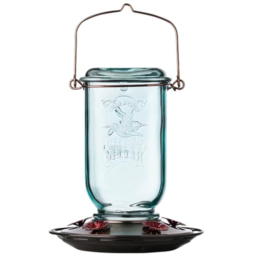 More Birds Mason Jar Hummingbird Feeder, Glass Hummingbird Feeders for Outdoors, 5 Feeding Stations, 25 Ounces