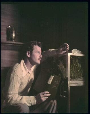 Gig Young Rare Original 5x4 Ektachrome Transparency with Press Snipe 1947