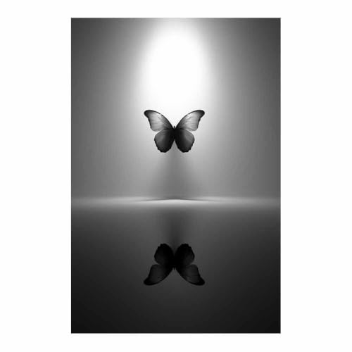 Affiche art de réflexion papillon XENIOU une décoration murale élégante style noir et blanc