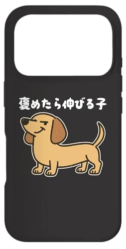 J߂Lтq  _bNXtg D 킢  ʔ Vv l^ X}zP[X iPhone 17 Pro p