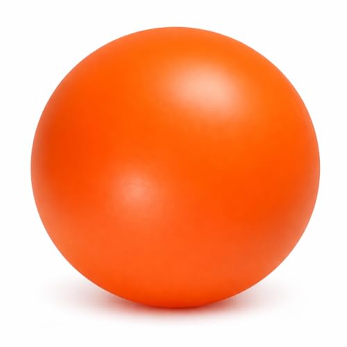 Doggie Dooley Praktisch unzerstörbarer Bester Ball für Hunde, 20,3 cm (Farben variieren)