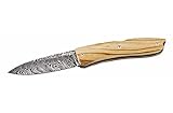 LionSteel