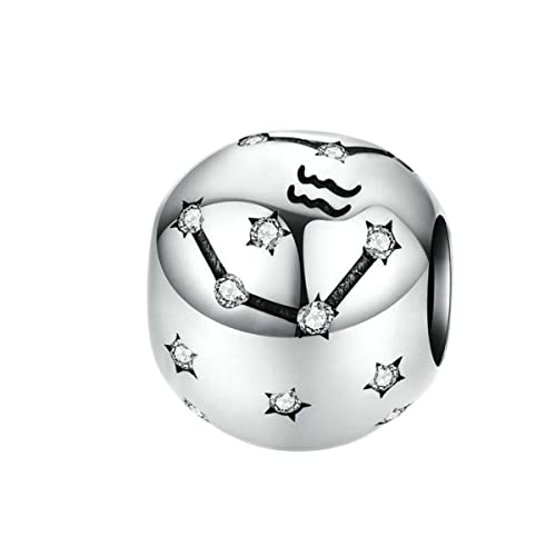 Femme Charms Verseau verseau Signe du Zodiaque Argent Sterling 925 Pendentif Horoscope Constellation avec Zircon Cubique pour Bracelet