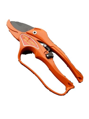 GIFRAN Ciseaux De Jardin Ciseaux De Taille À Cliquet for Plantes D'horticulture Sécateurs De Vergers en Aluminium Léger for Cisailles Et Tondeuses De Plantes À Fleurs Jolis Outils Professionnels(2)