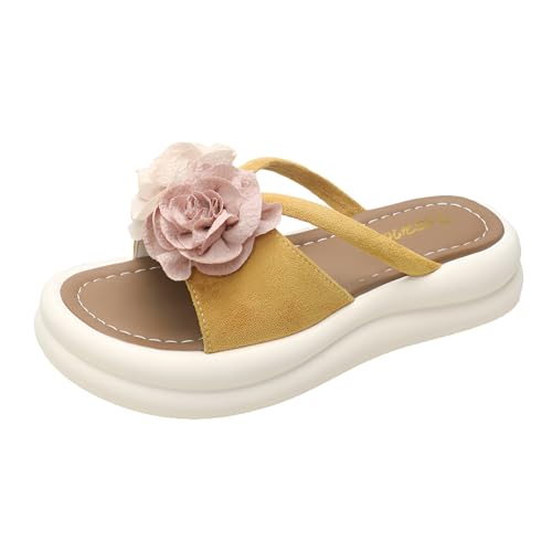 [POZEAL] fB[X  r[`T_  fUC ₷ gOT_ K  y EFbW\[  C r[` f[g ip  ԉΑ