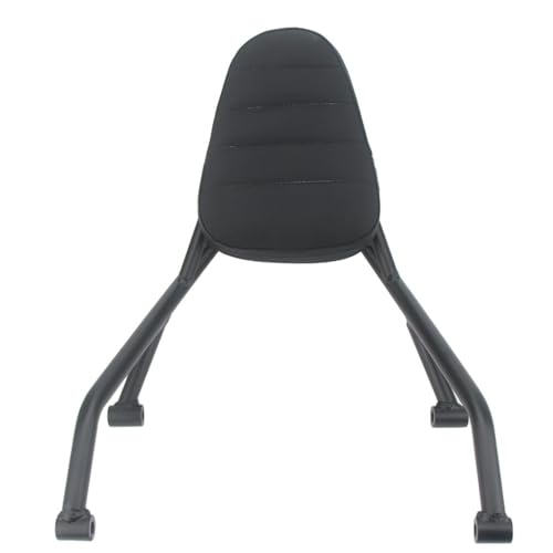 Support de dossier arrière 450CLC en acier renforcé et coussin ergonomique pour cadre de queue