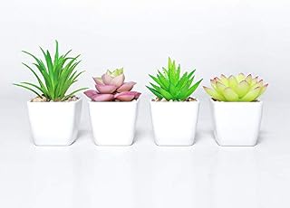 DuHouse Fake Succulents Plants Artificial Potted Faux Plant in Mini White Plastic Pots for Home Office Bathroom Garden Decor Set of 4(Green)