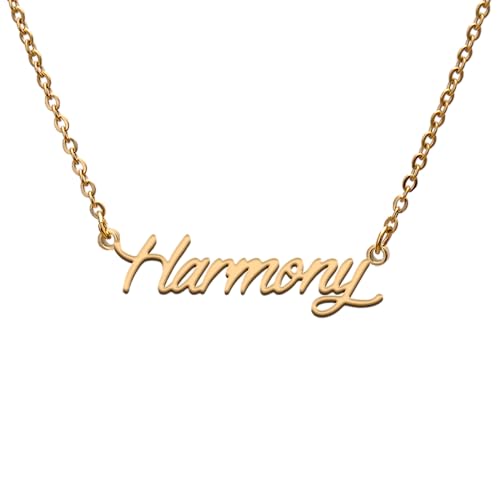 Harmony Name Tag Necklaces for Her His Friends Familys Relationship Memory Jewelry Gift