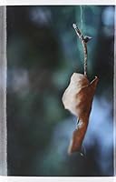 Timeless View 0464413028 Book Cover