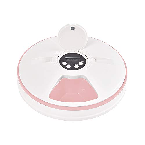 3 Best Microchip Cat Feeders for Your Felines Reviewed