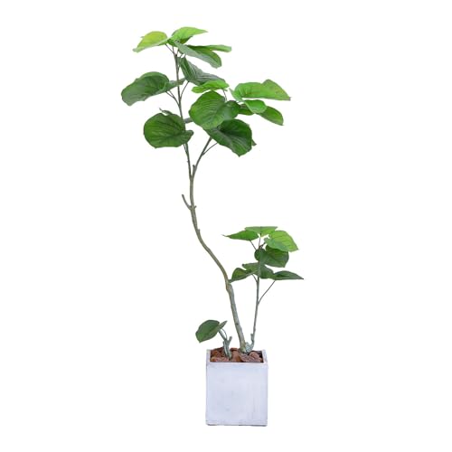 LEBEN([x)tFCNO[ tBJX Ex[^ 160cm G}H tFCN A G} CTG} t@Co[NC v^[ ϗtAiCgO[j