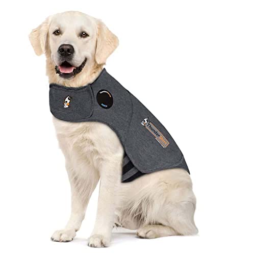 compression jacket for dogs