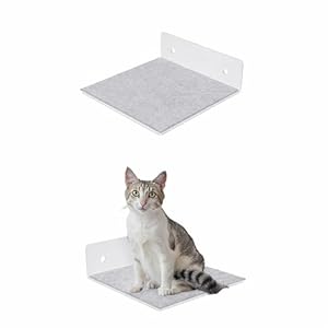 QLS Katzenregal für Katzen 20x20 cm mit grauem Filz pulverbeschichtet Wandmontage bis 10 kg (weiß)