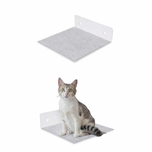 QLS Katzenregal f&uuml;r Katzen 20x20 cm mit grauem Filz pulverbeschichtet Wandmontage bis 10 kg (wei&szlig;)