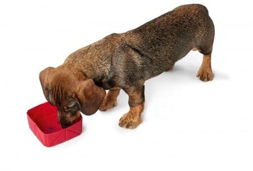 HUNTER LIST Silikon Falt-Reisenapf, 15 x 12 x 5 cm, beige