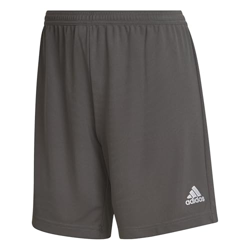 Adidas Femme Entrada 22 Shorts, Team Grey Four, XS