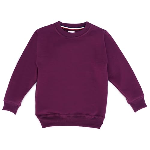 Image of Kids Woolen Graphic Print Sweatshirts and Sweatpants Set for Kids Suit Set (SWT.RN.TR-38)
